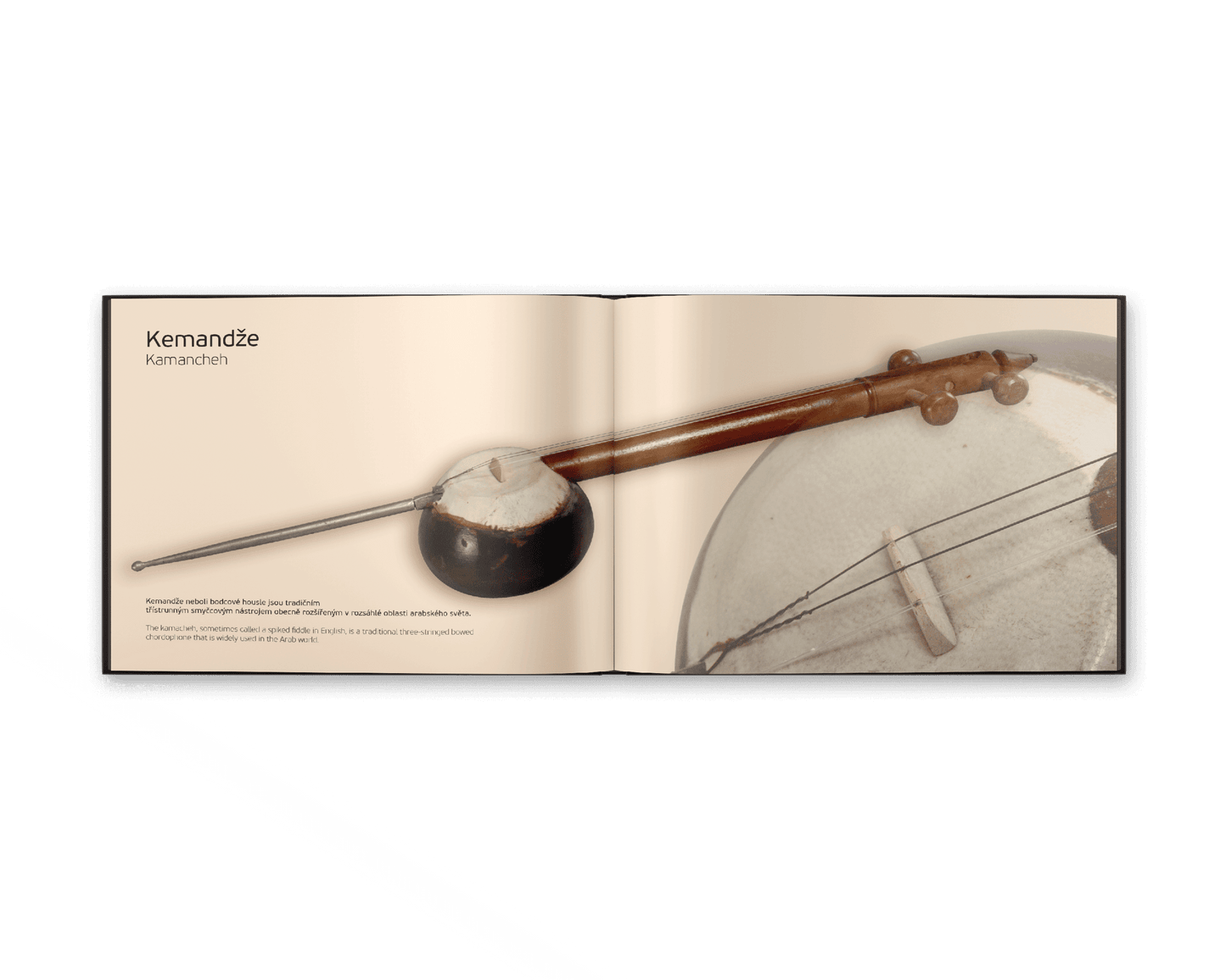 book Extraordinary Musical Instruments