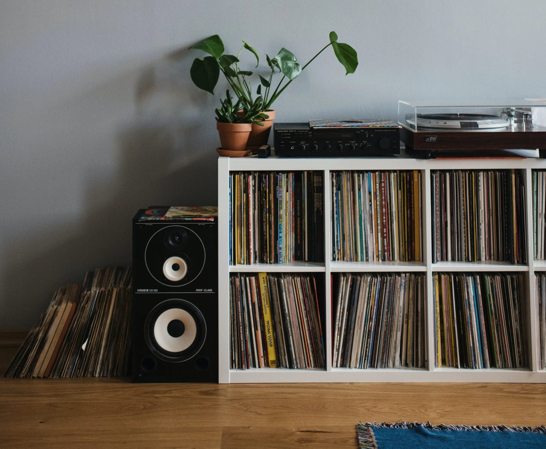 The Art of Collecting Vinyl: How to Build a Timeless Record Collection