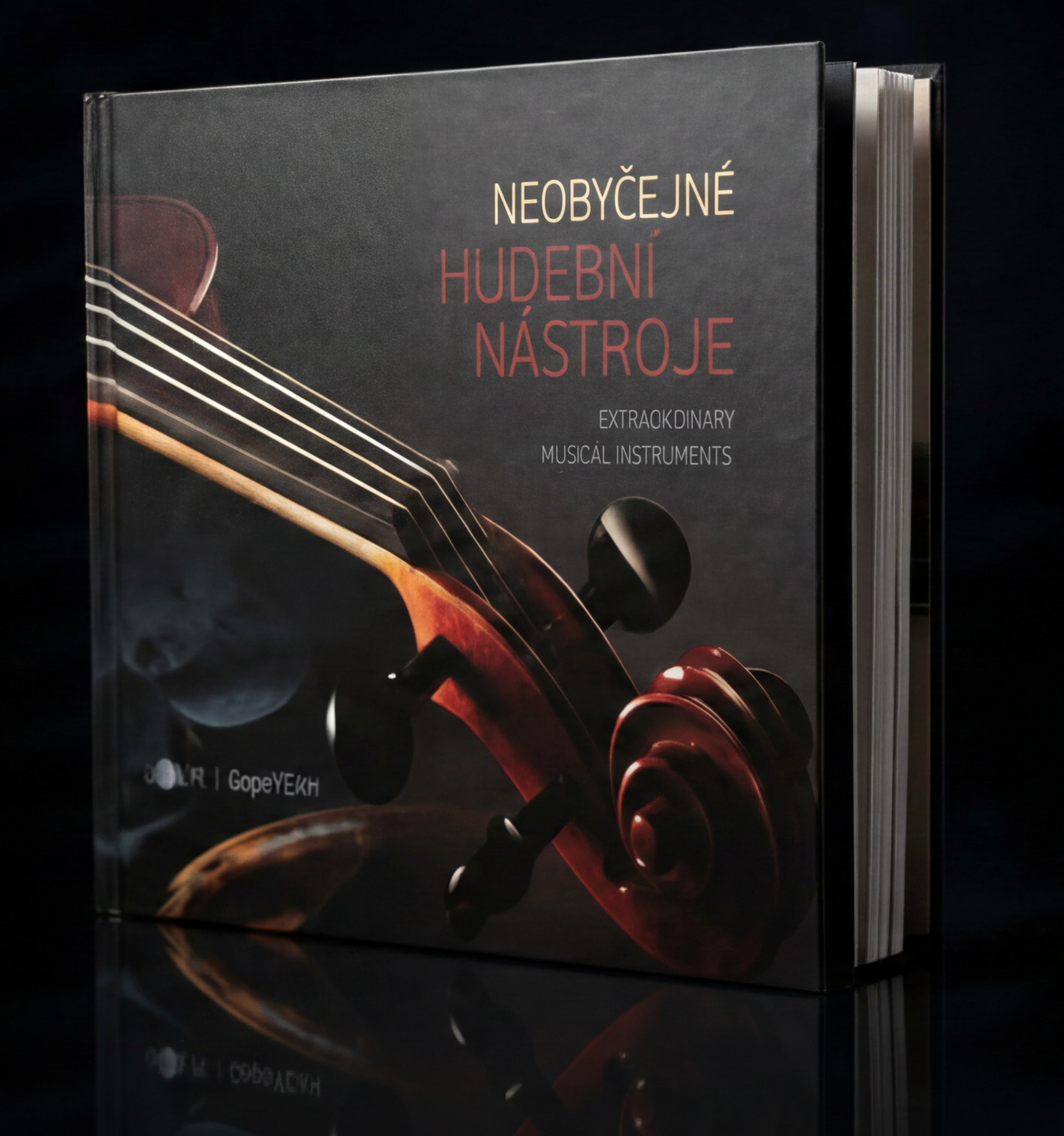 book Extraordinary Musical Instruments