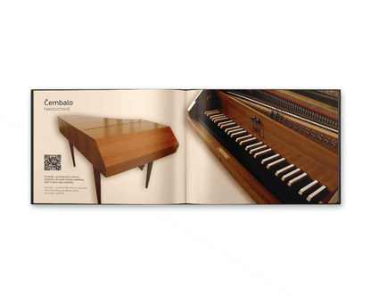book Extraordinary Musical Instruments