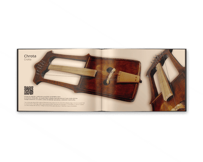 book Extraordinary Musical Instruments